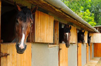 free Blaenporth stable construction quotes